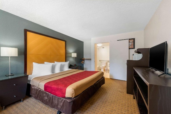 Econo Lodge Airport At RJ Stadium image 7